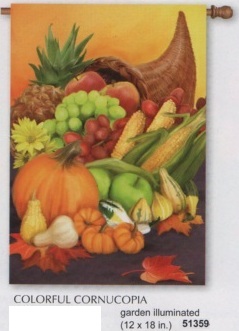 Colorfull Cornucopia Summer Banner