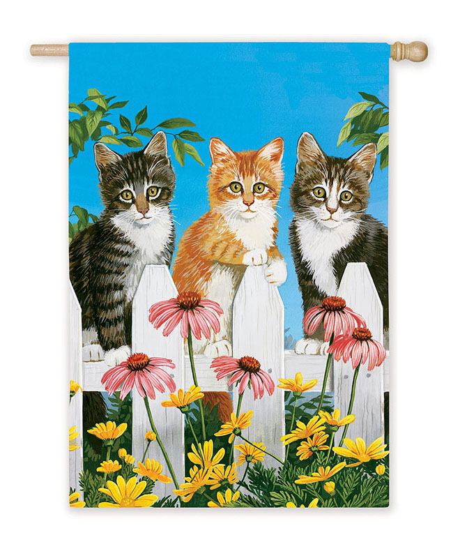 Picket Fence Kittens Banner
